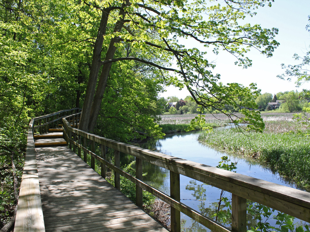 Rattray Marsh Conservation Area-米西索加必去景点