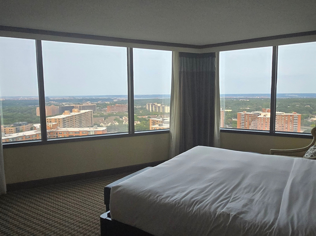 亚历山大马克中心希尔顿酒店主图