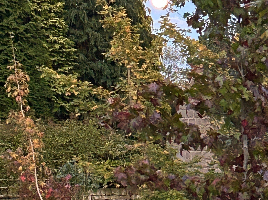 Thorp Perrow-Bedale必去景点