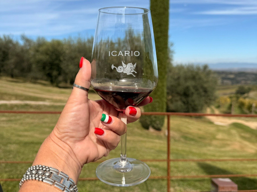 Icario Winery-蒙特普尔恰诺必去景点