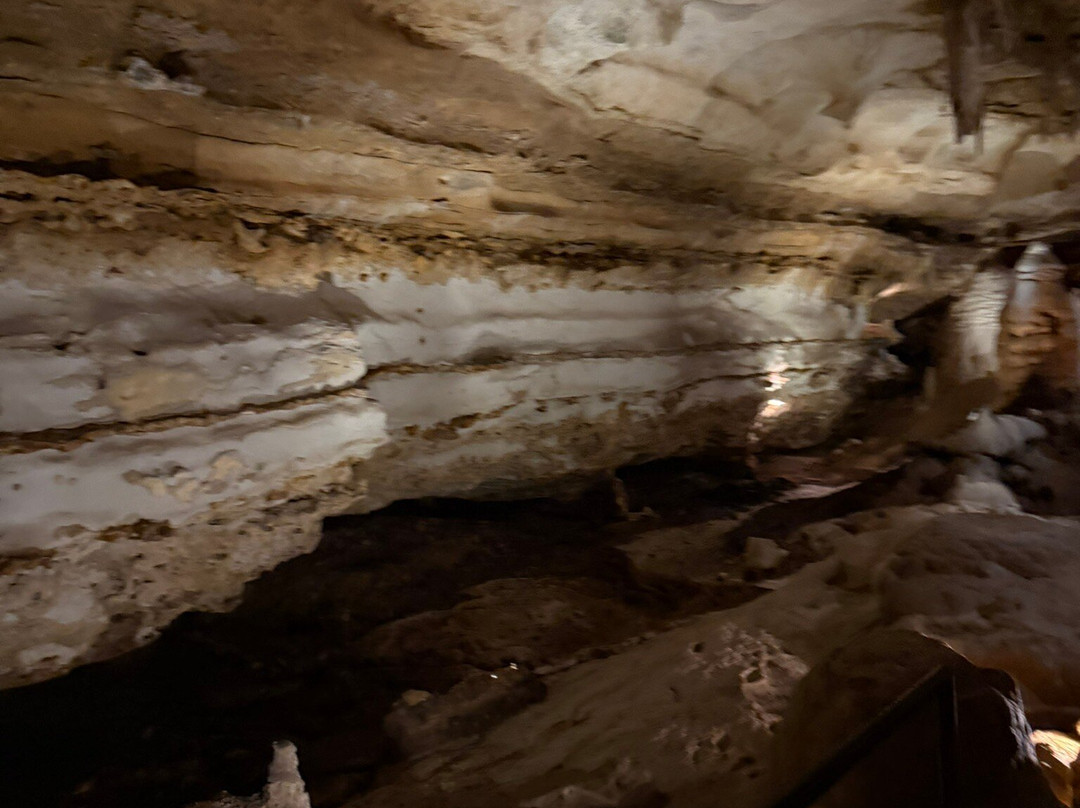Inner Space Cavern-Georgetown必去景点