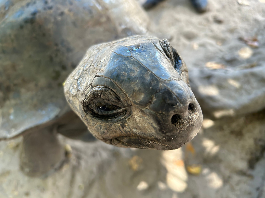 Angel Tours-Amitie必去景点