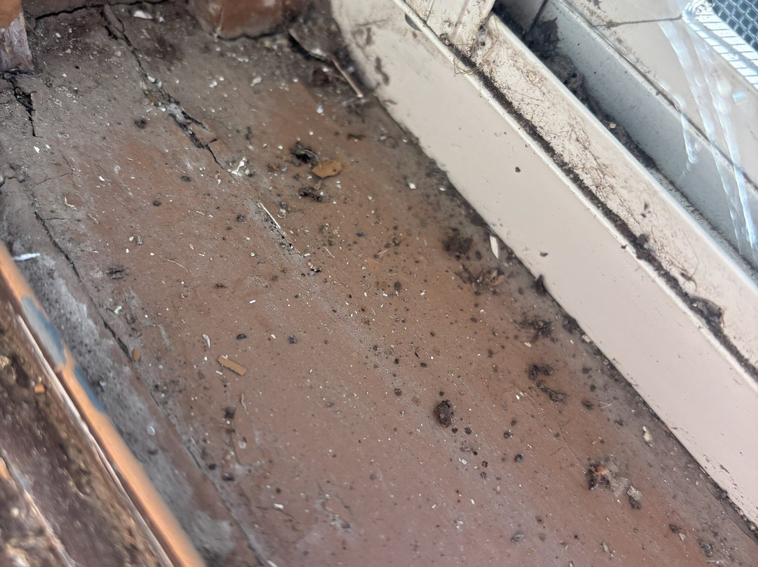 Spirit Lake-Spirit Lake必去景点