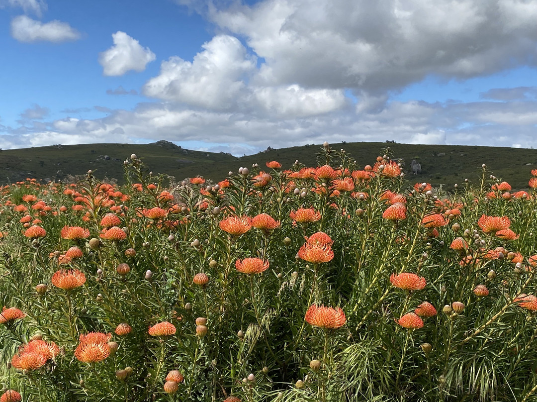 Beyond Bike-Windmeul必去景点