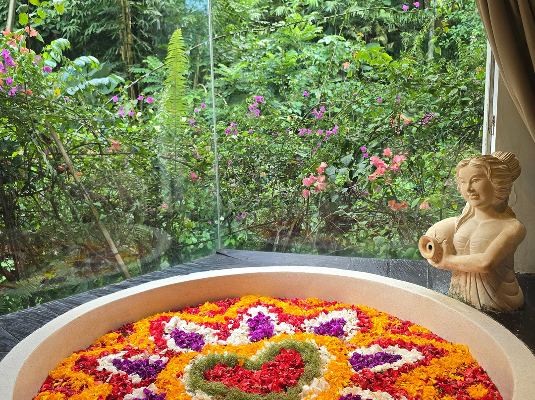 Best Ubud Driver-乌布必去景点