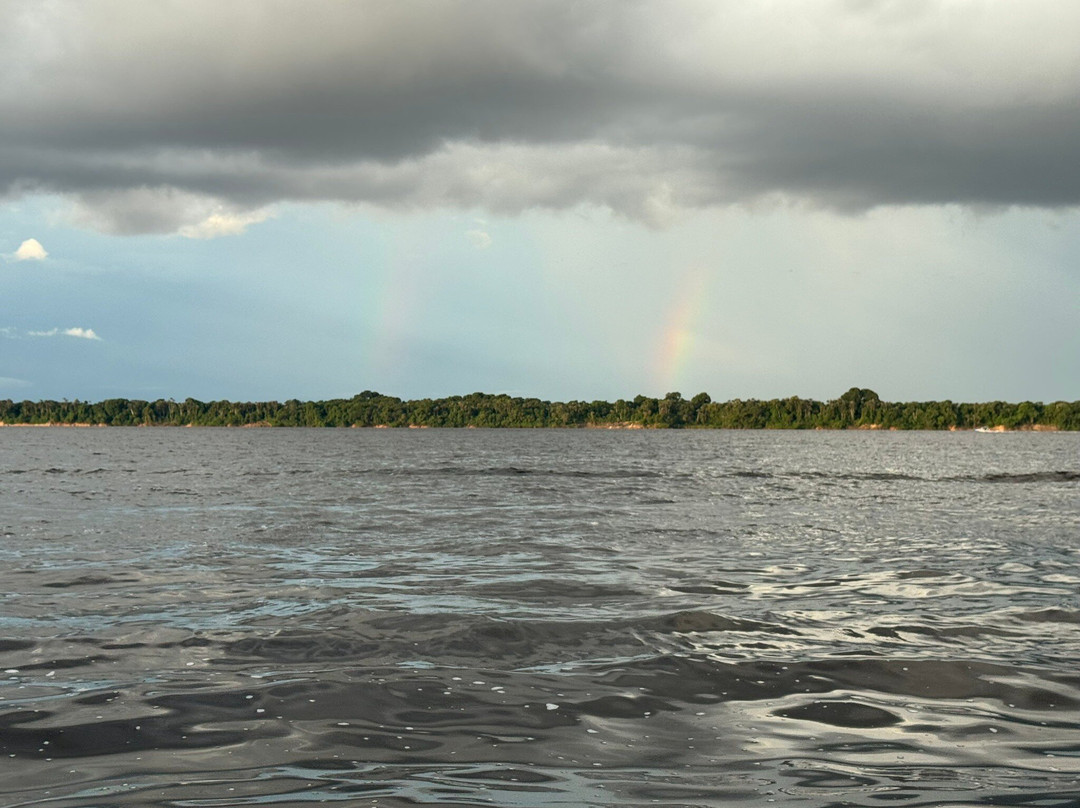 Pink Dolphins Floating Platform-Novo Airao必去景点