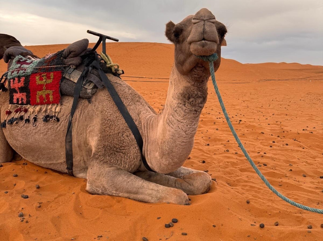 Viaja a Marruecos-丹吉尔必去景点