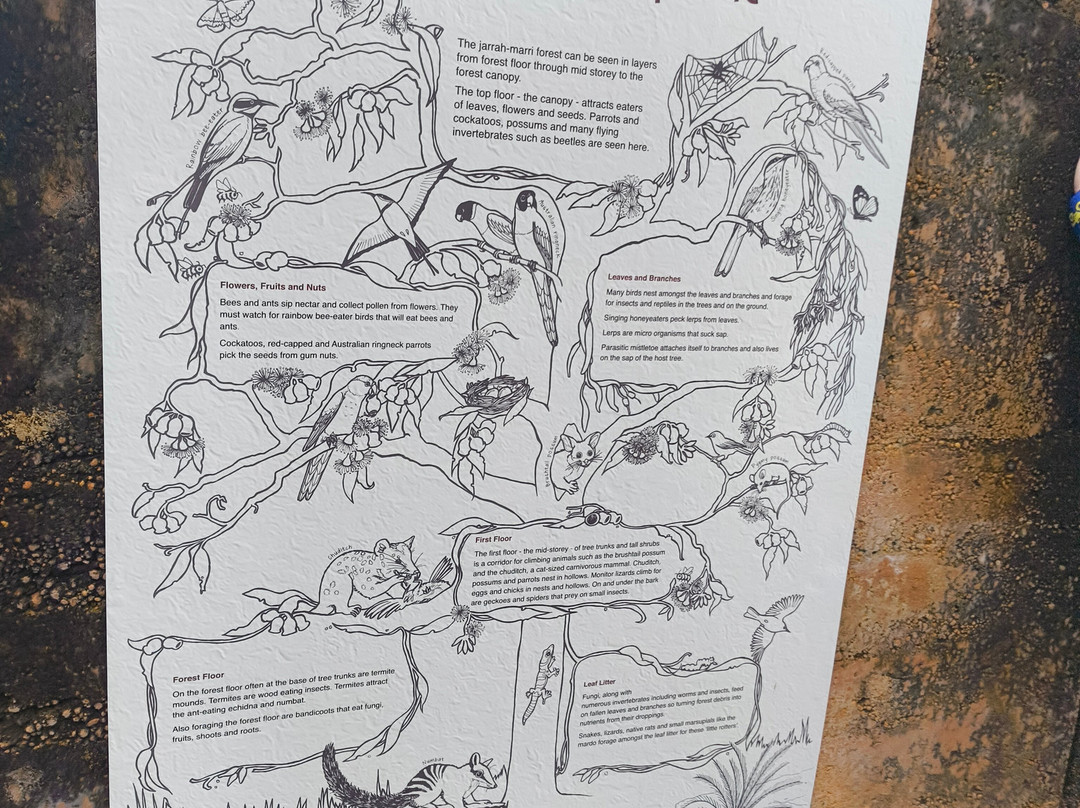 Forest Discovery Centre-Dwellingup必去景点