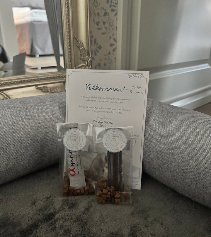 Marienlyst Strandhotel主图