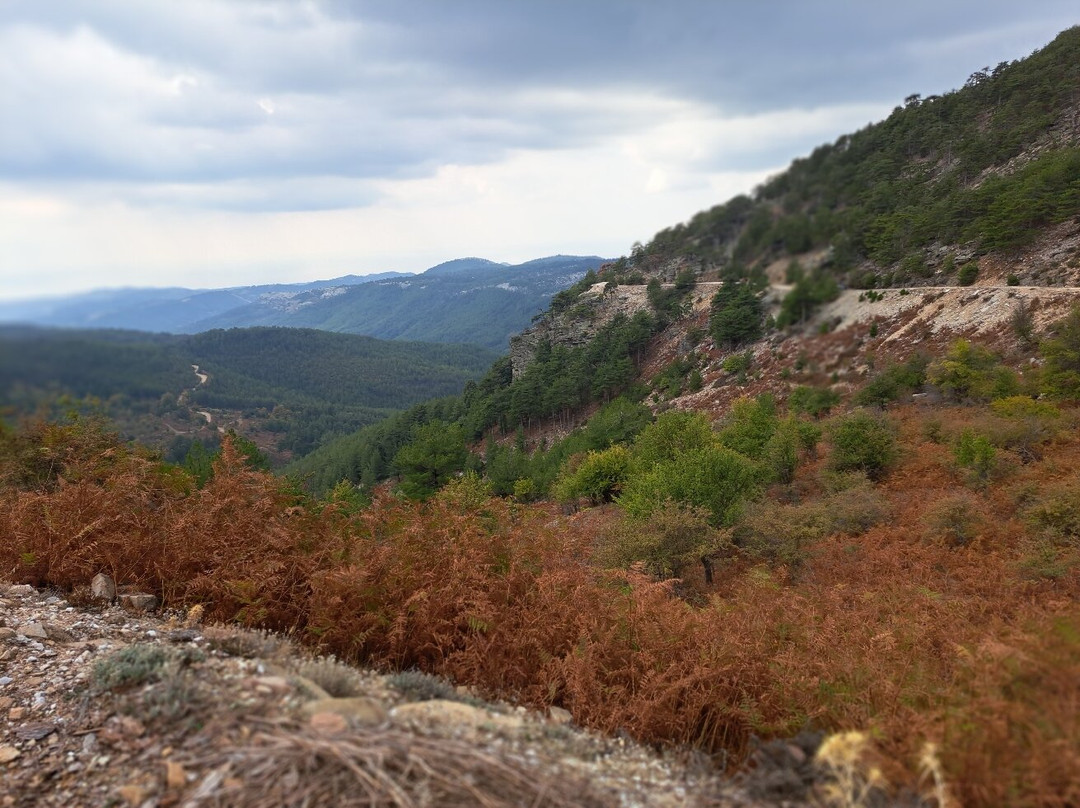 Mount Ipsárion-Thásos必去景点