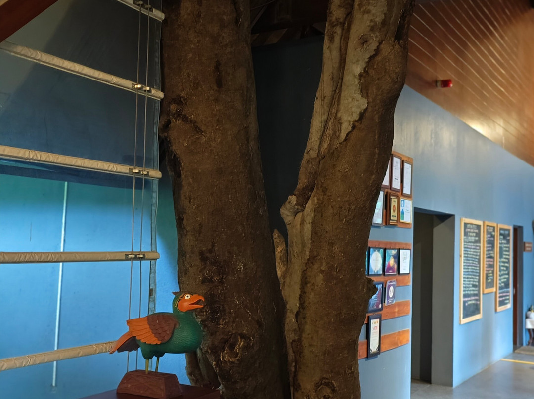 塔玛拉古尔格度假村主图