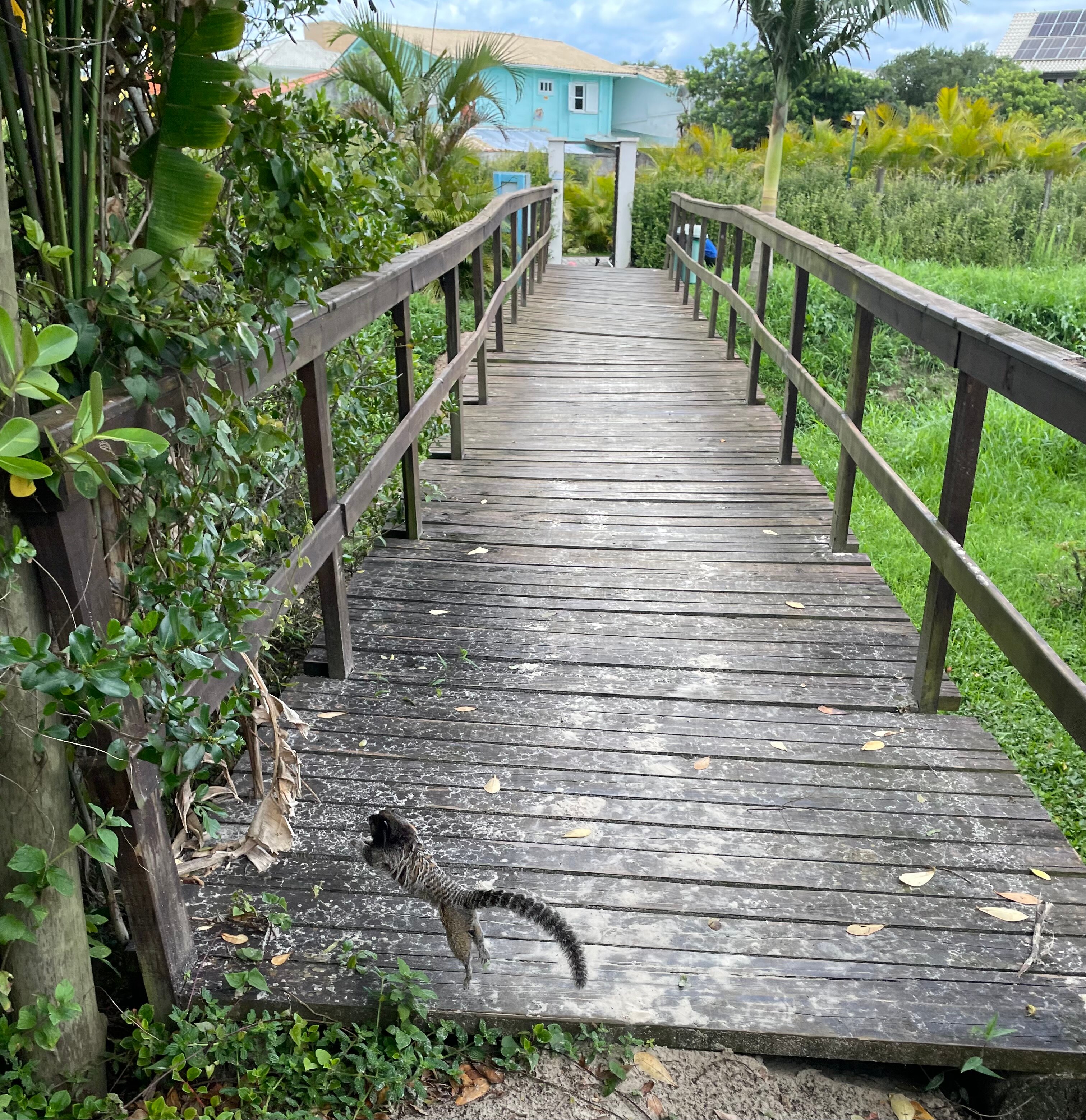 Pousada Ilha Faceira-泳池