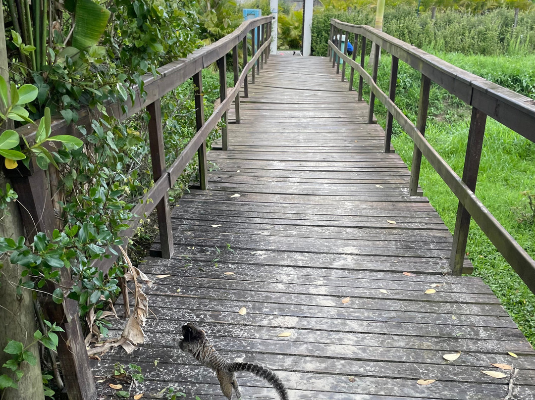 Pousada Ilha Faceira主图