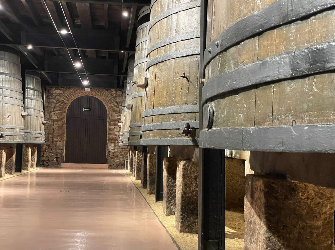 Bodegas Franco Espanolas-洛格罗尼奥必去景点