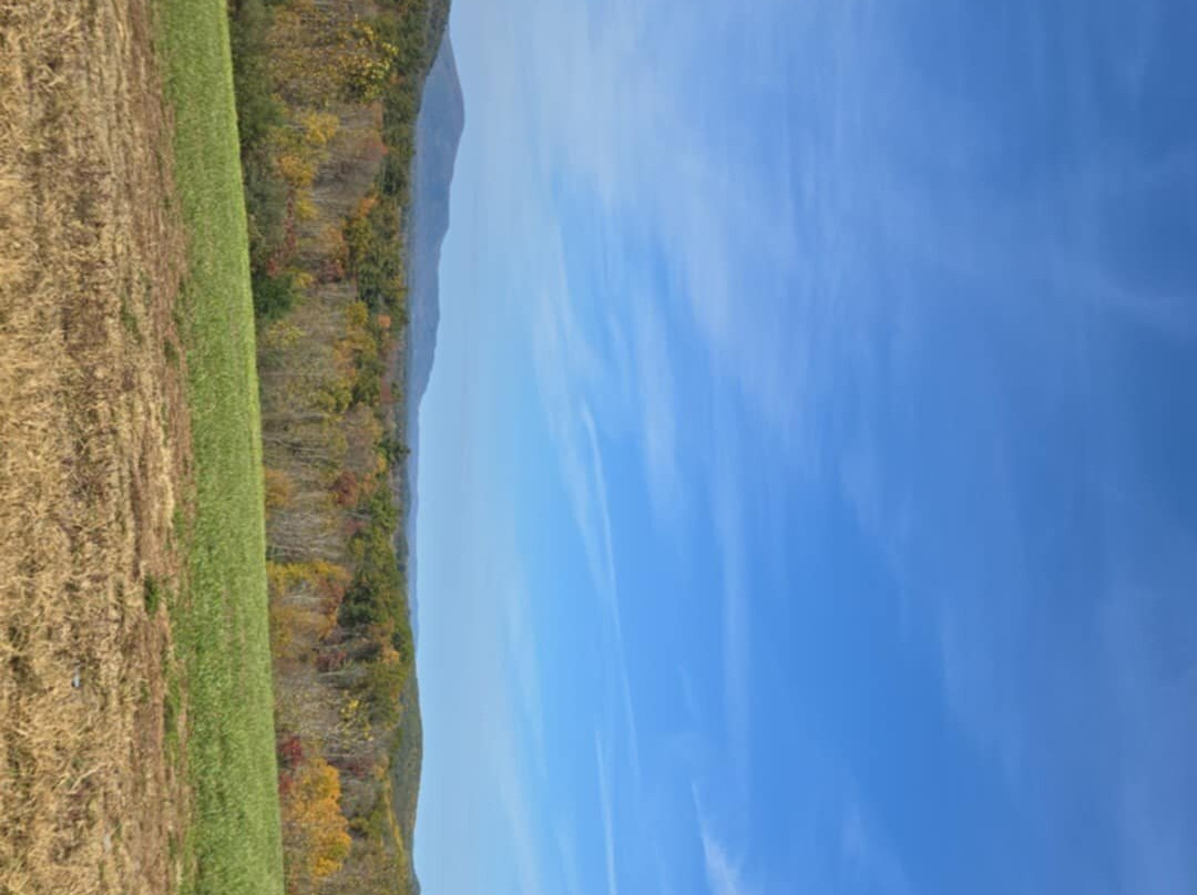 Backyard Adventure UTV Tours-East Canaan必去景点