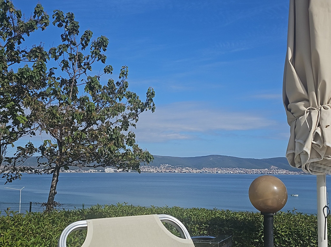 Festa Panorama主图