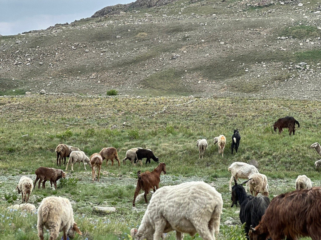 Broad Peak Adventures-Skardu必去景点