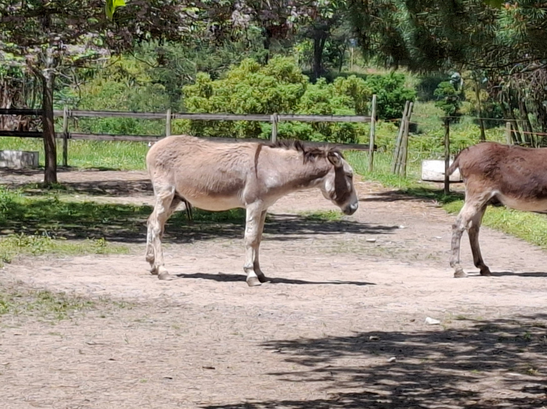 Reserva Natural do Cavalo do Sorraia-Alpiarca必去景点