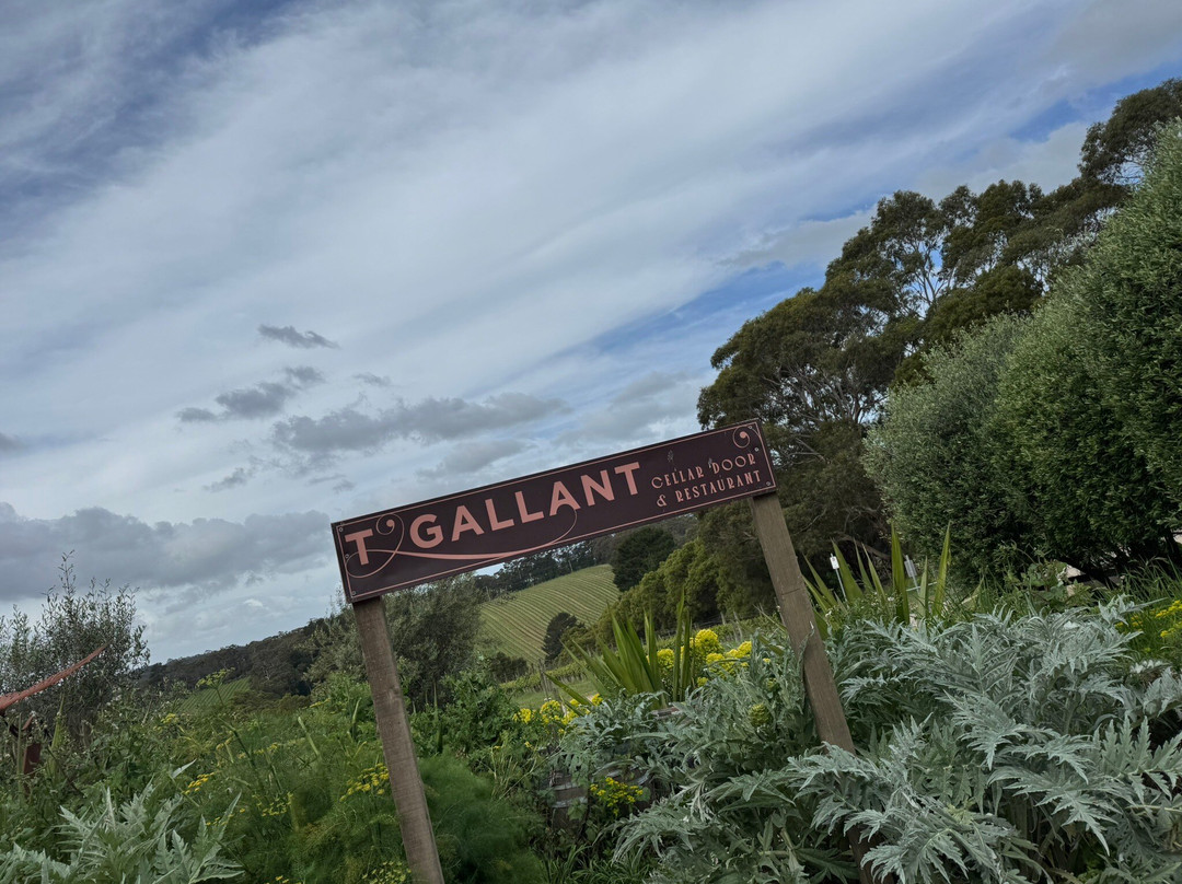 T'Gallant Vineyard-Main Ridge必去景点
