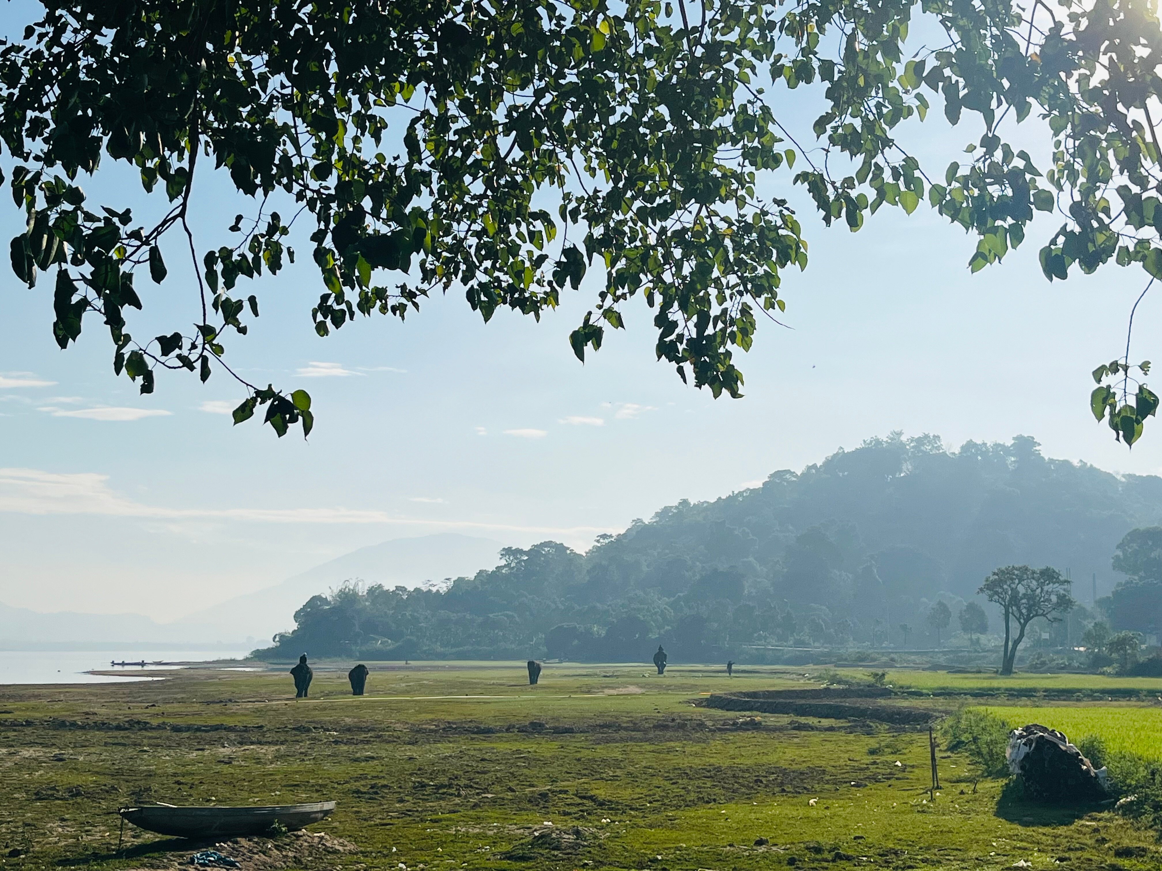 Vân Long Elephants Lak Lake-官方