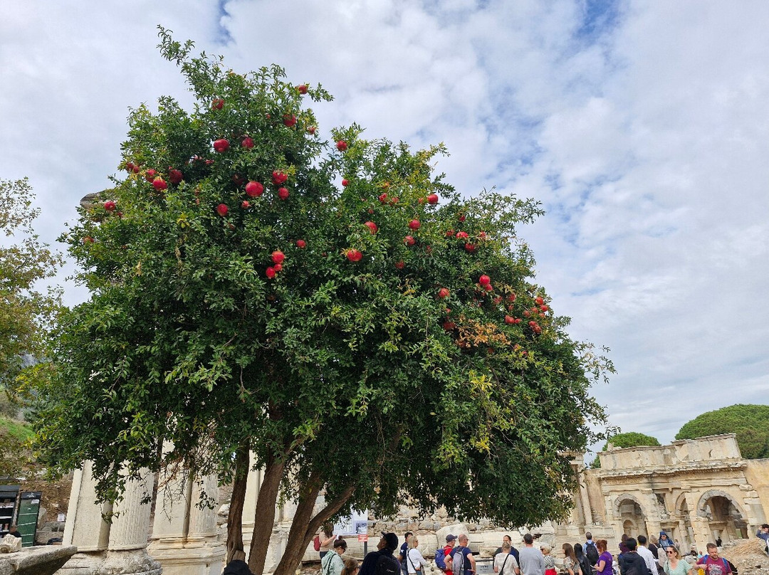 Sightseeing In Kusadasi-库萨达斯必去景点