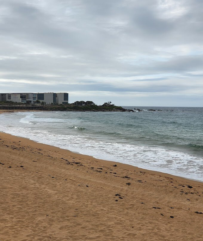 Penguin Observation Centre-伯尼必去景点