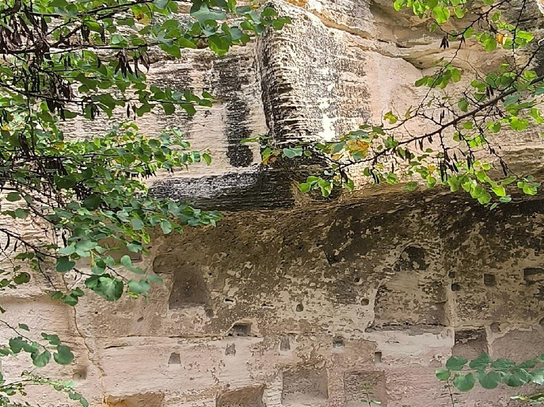 Abbey of Saint-Roman (L'abbaye de Saint-Roman)-Beaucaire必去景点