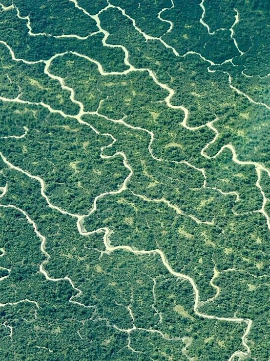 Arid Air-Marree必去景点