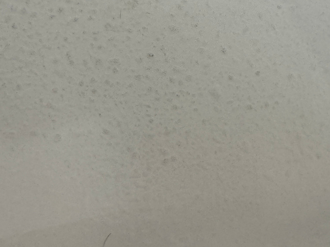 伯明翰SE/自由公园希尔顿花园酒店主图