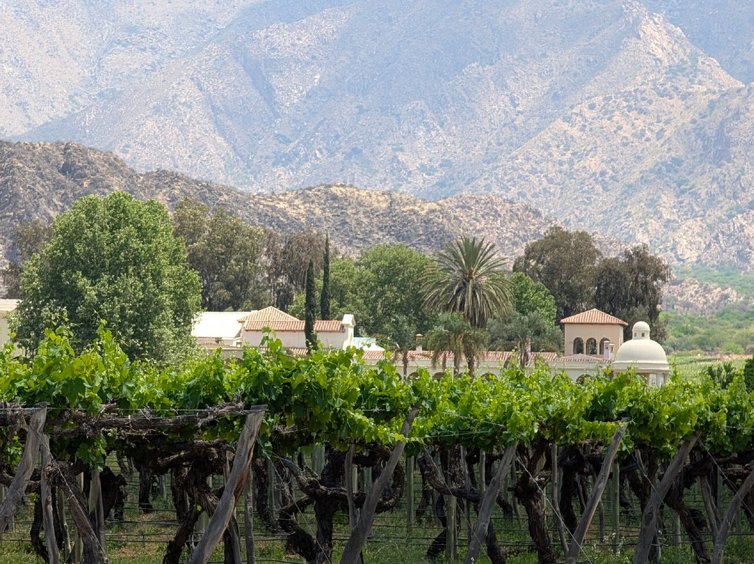 Finca El Recreo-卡法亚特必去景点