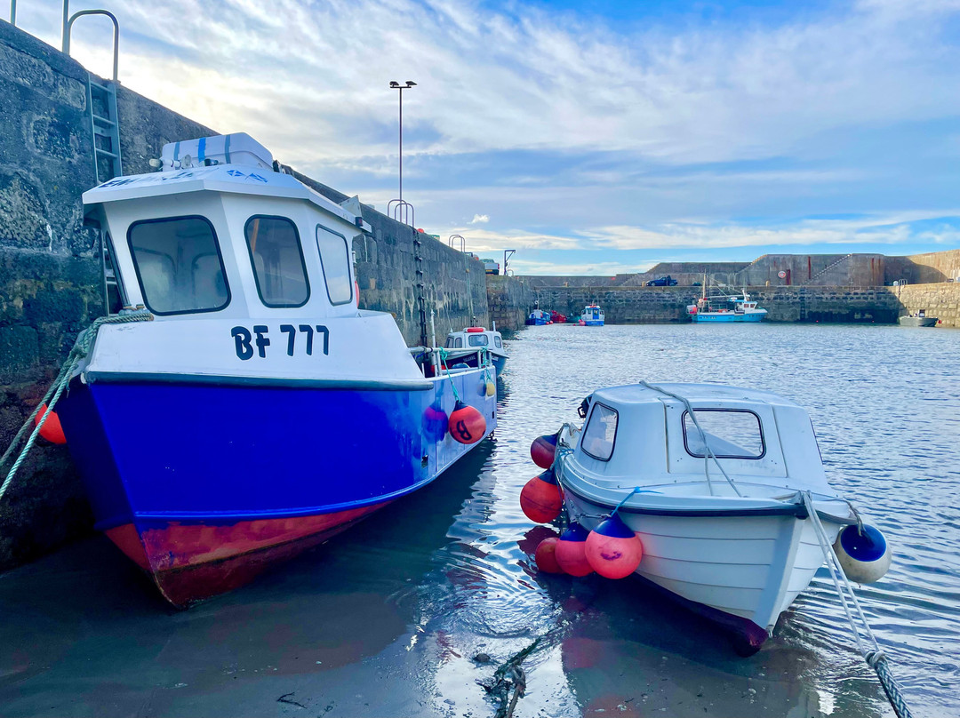 Portsoy Harbour-Portsoy必去景点