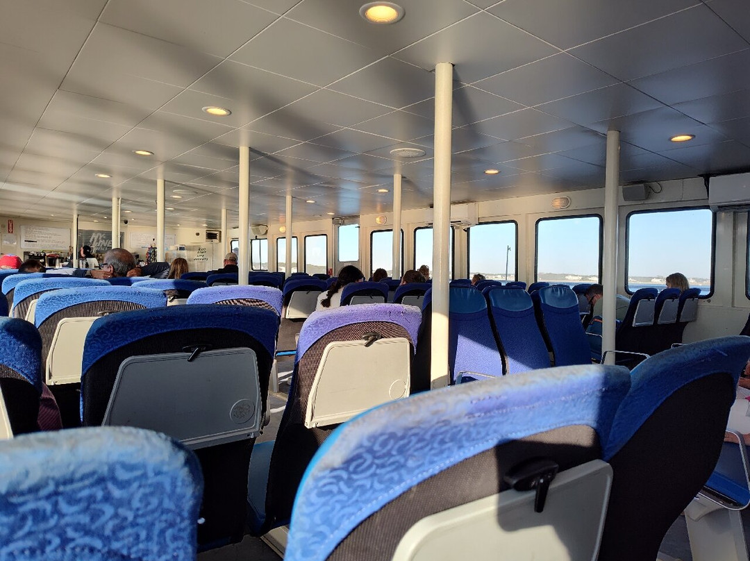 Hy-Line Cruises-海恩尼斯必去景点