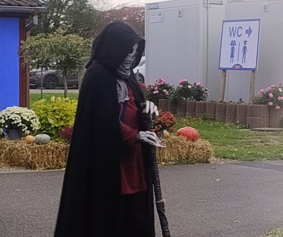 Cigoland - Parc des Cigognes et Attractions-Kintzheim必去景点