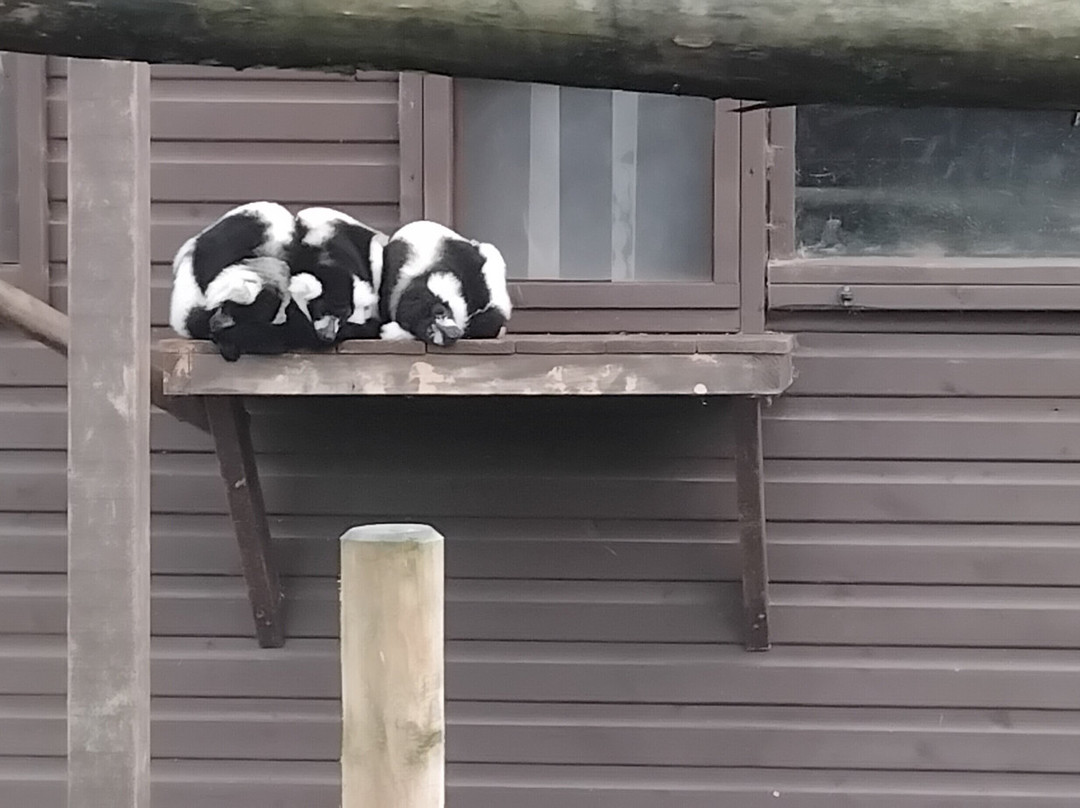 Filey Bird Garden & Animal Park-Filey必去景点