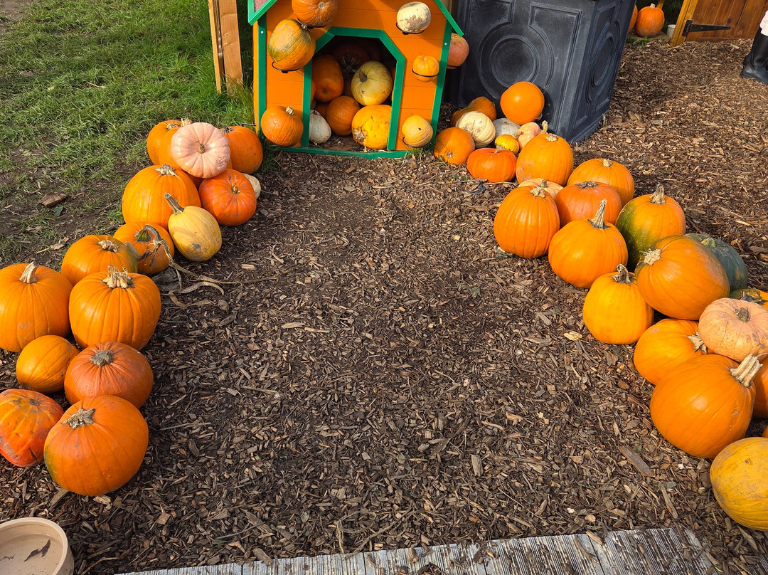 Farmer Copleys-庞蒂弗拉克特必去景点