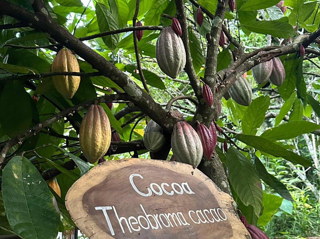 Ella Spice Garden-埃勒必去景点