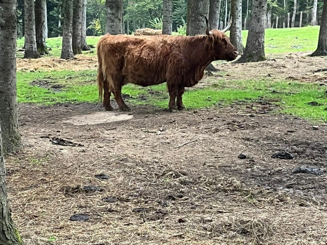 Oasi Delle Piane-Lama Mocogno必去景点
