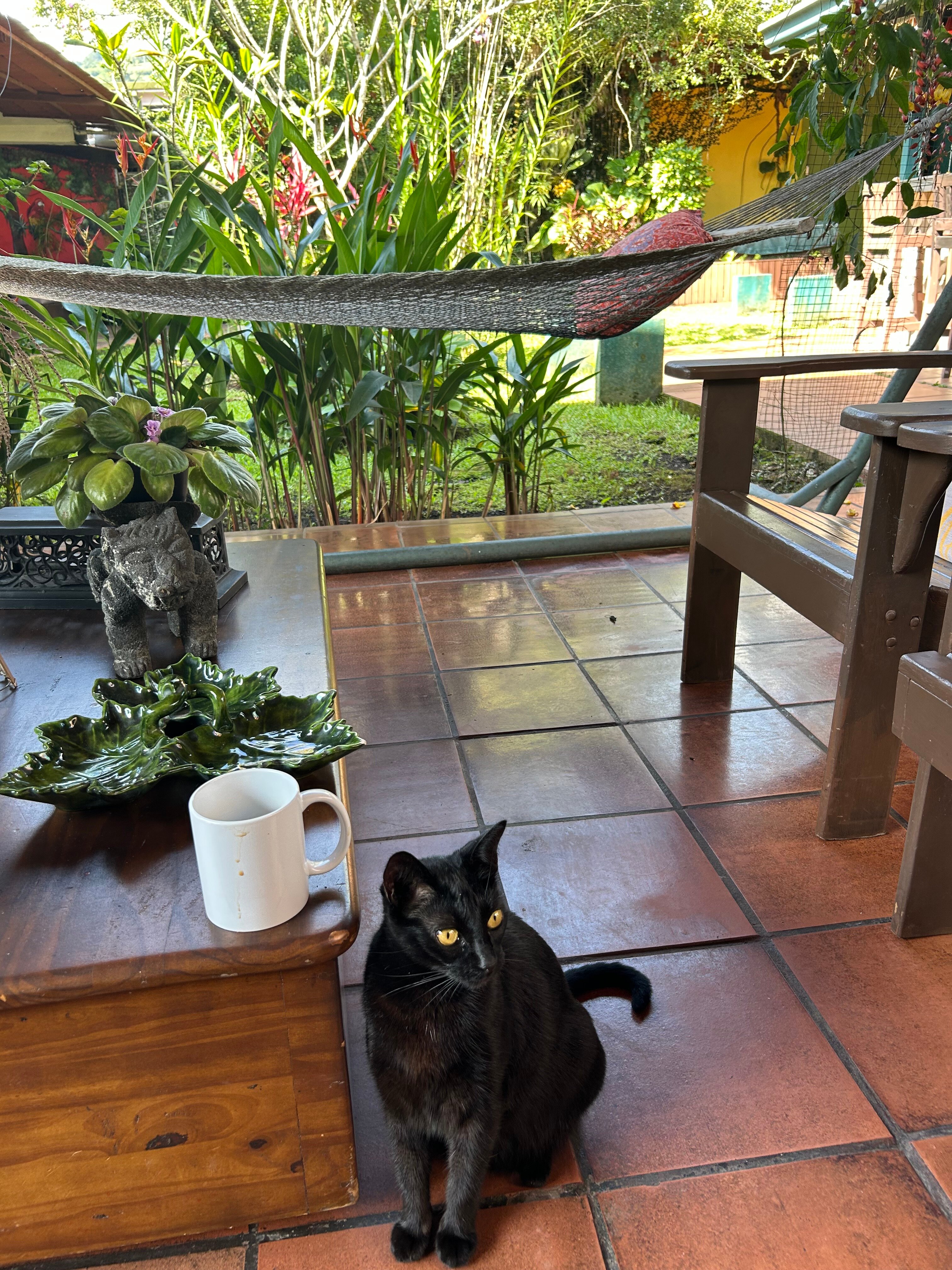 Turrialba Bed and Breakfast-官方