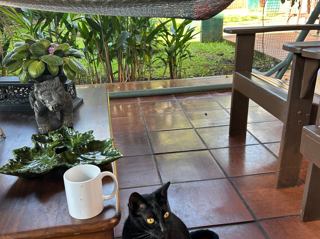 Turrialba Bed and Breakfast主图