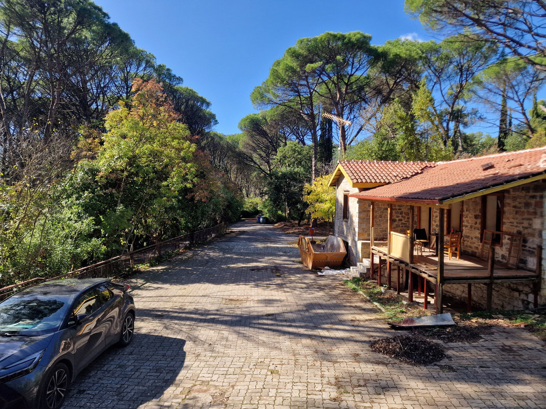 Agios Georgios Park-Tripoli必去景点