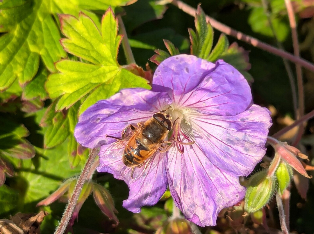 Marshall Point Lighthouse Museum-Port Clyde必去景点