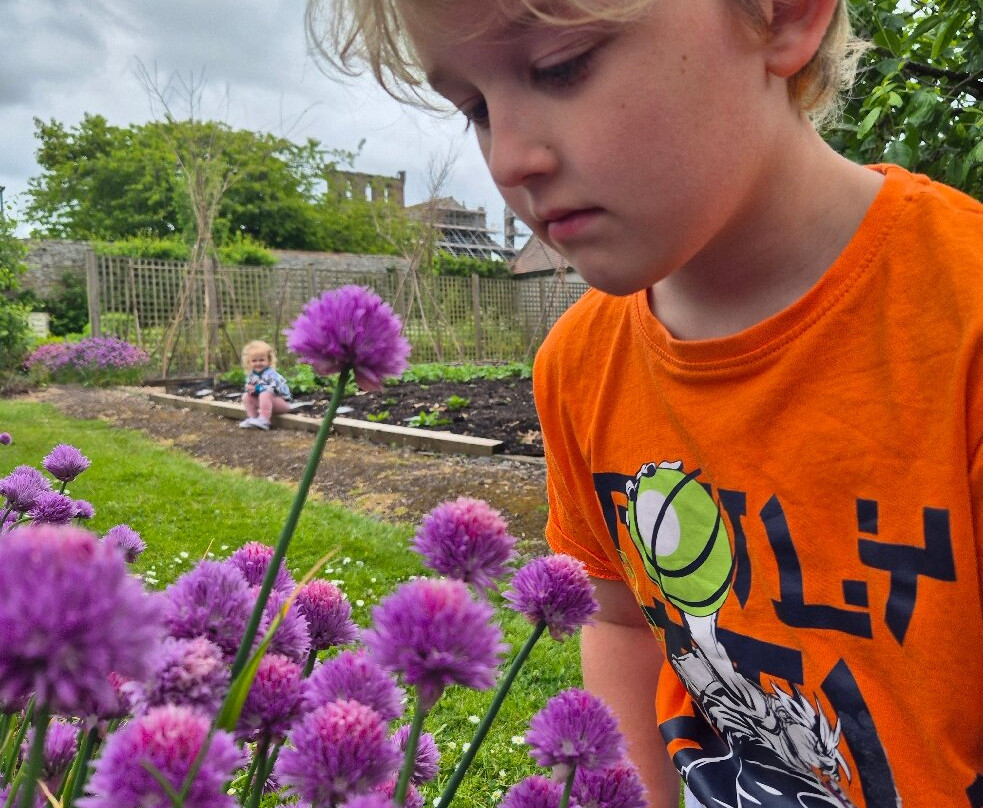 Harmony Garden-Melrose必去景点