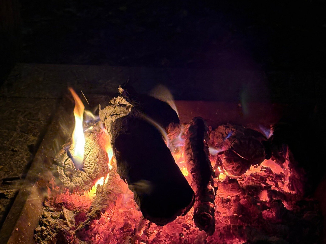 Watermill Wolves Wolf-dog Actors-Bexhill-on-Sea必去景点