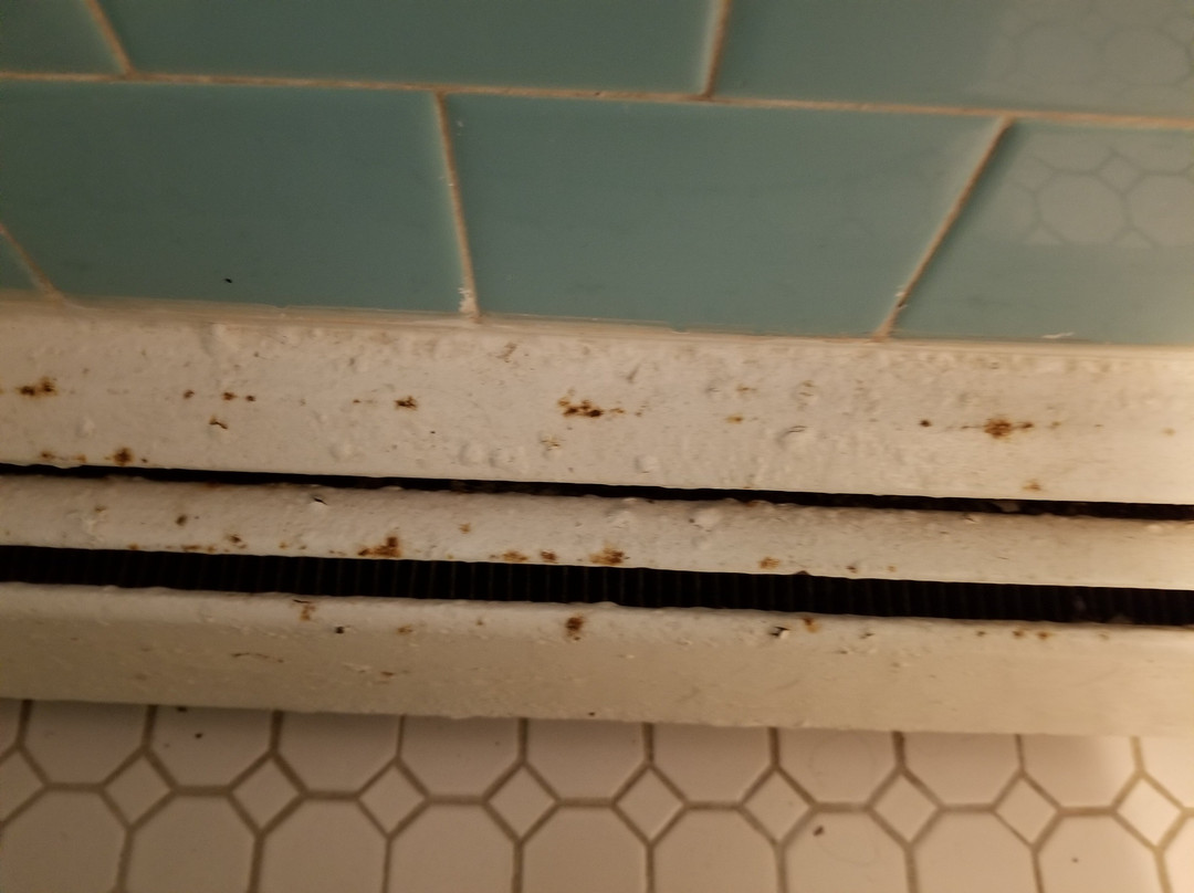 ShoreWay Acres Inn & Cape Cod Lodging主图