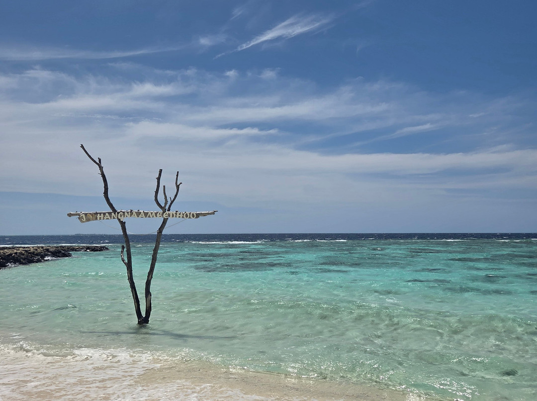 Local Island Inn主图