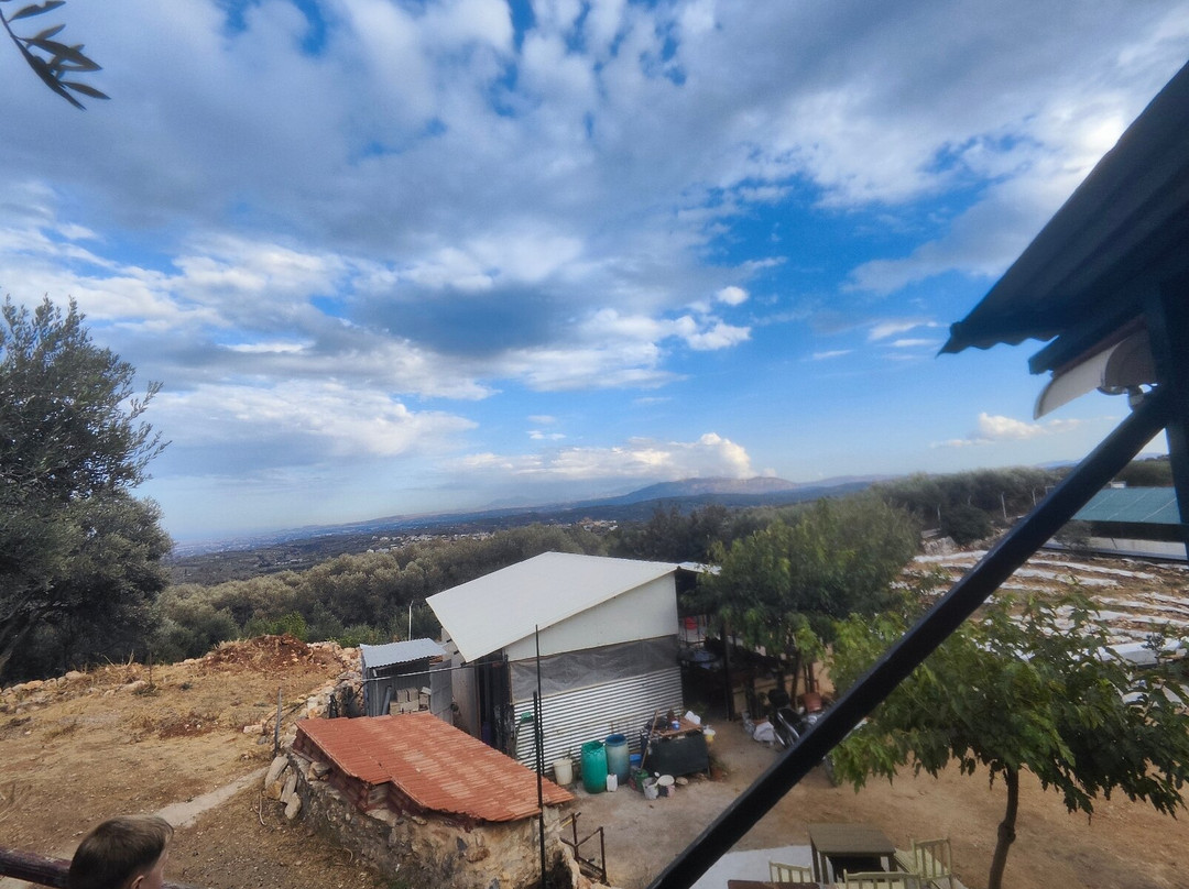 Snail Farm And Fun-Tylissos必去景点