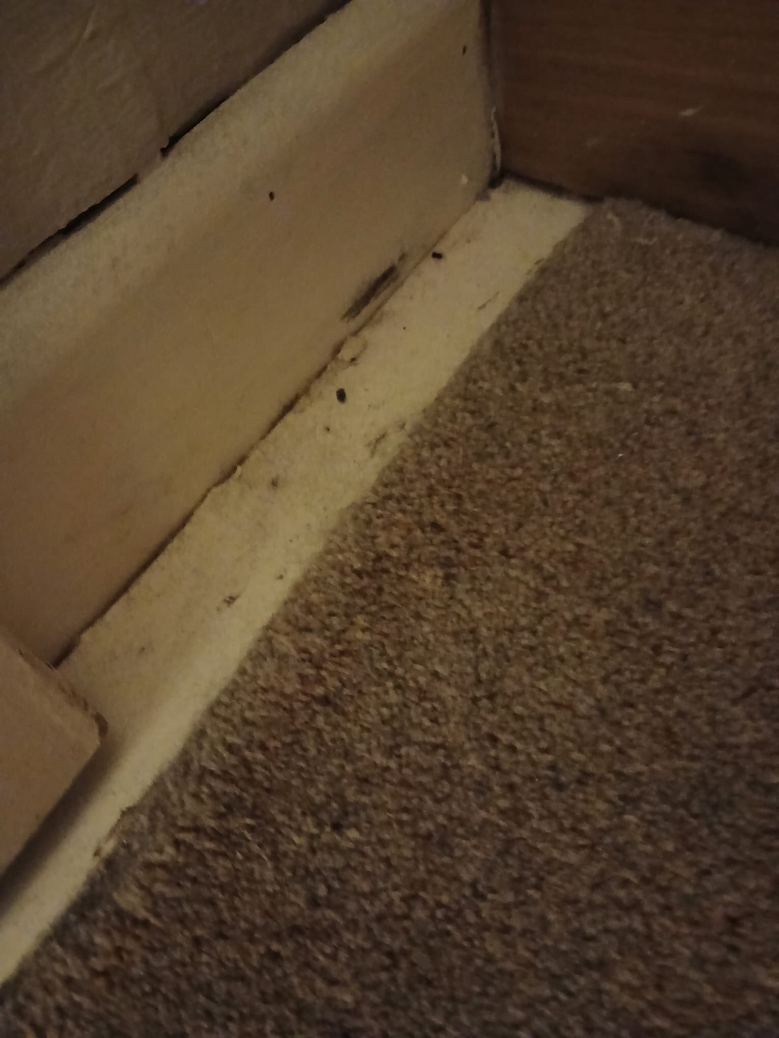 The Kings Head Hotel-官方