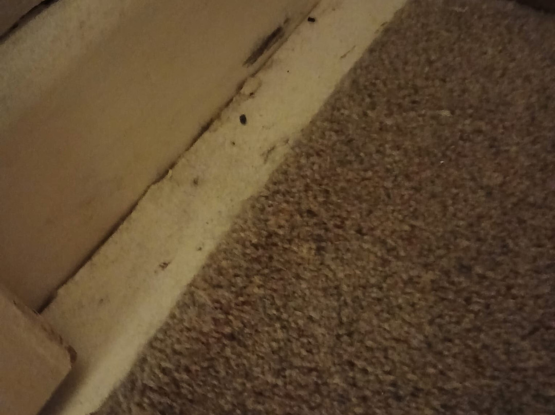 The Kings Head Hotel主图