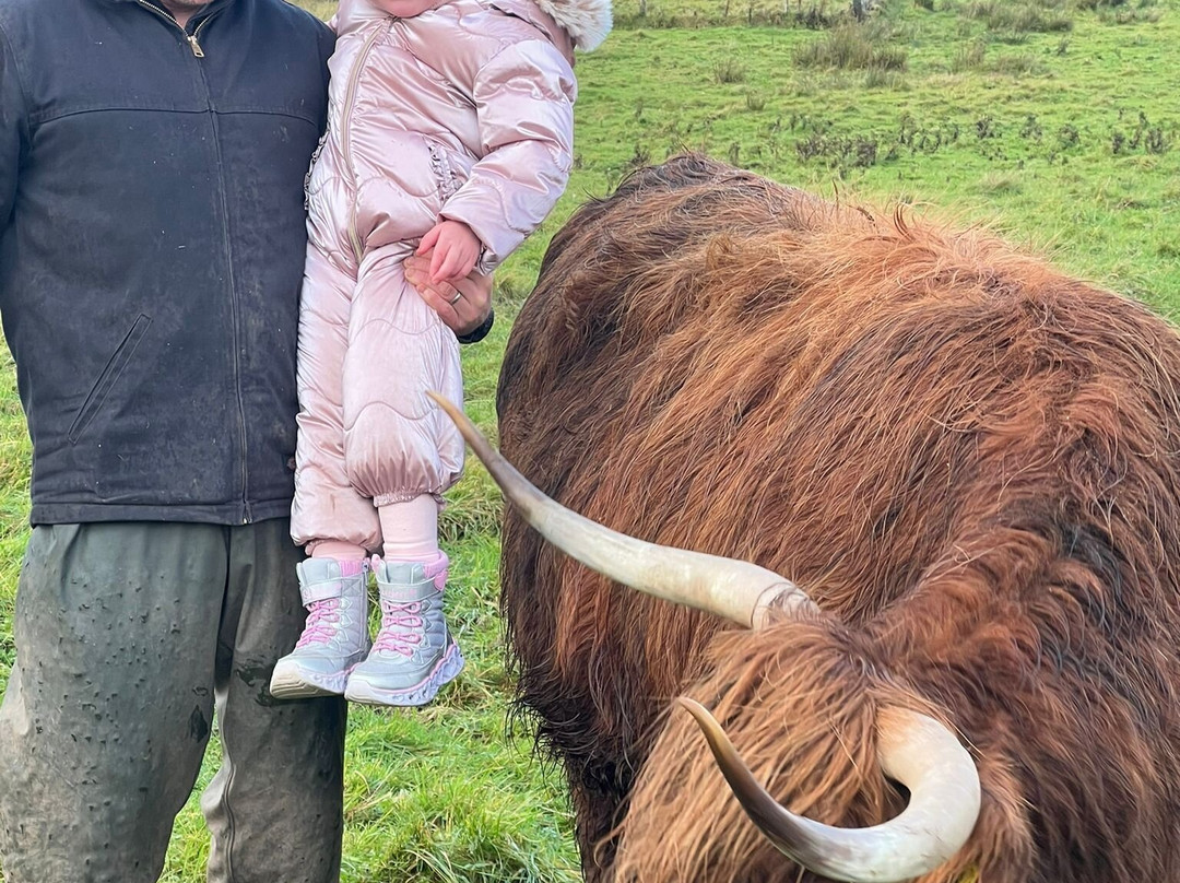 Nether Glenny Farm - Coos and Views-斯特灵必去景点