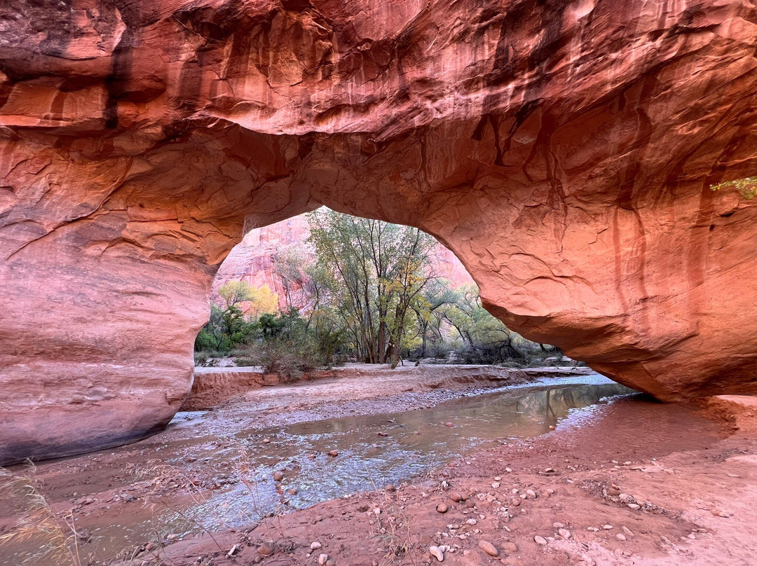 Canyon Ministries-大峡谷国家公园必去景点